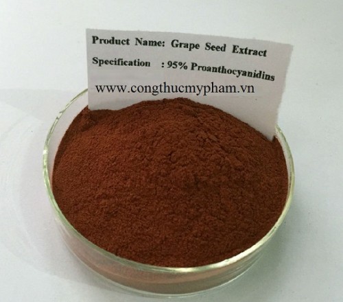 Chiết xuất hạt nho (Grape seed extract) – Bán chiết xuất hạt nho sỉ