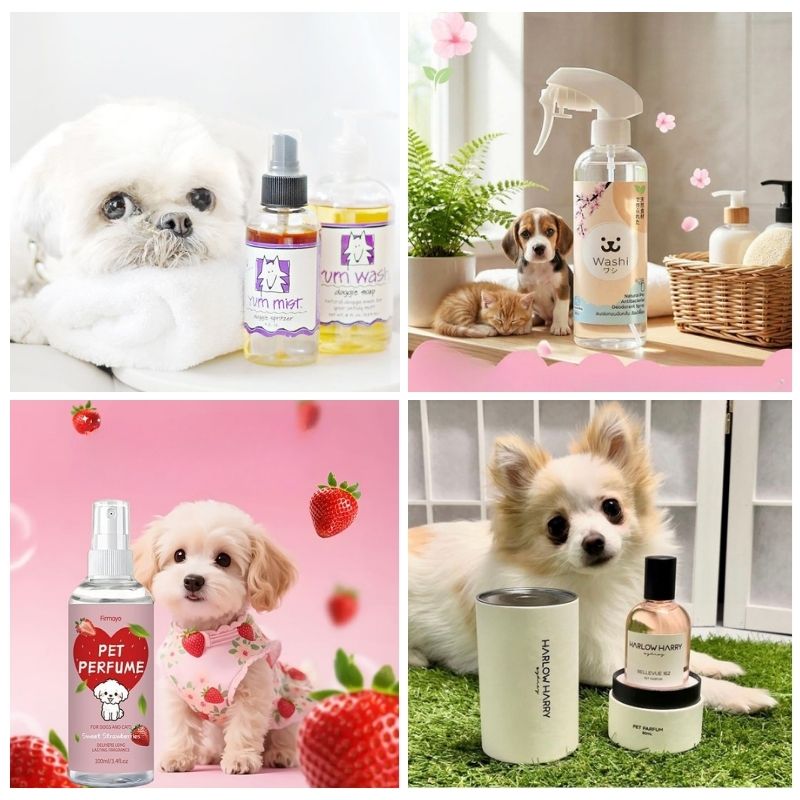 gia công nước hoa khử mùi thú cưng