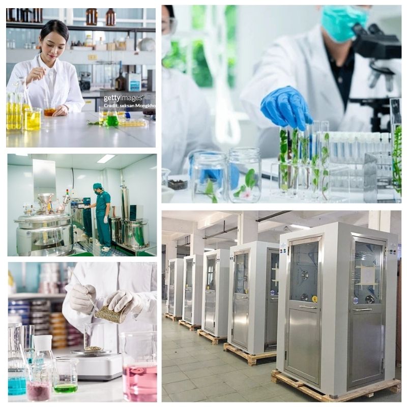 Gia Công Dầu Gội Bạc Hà từ A-Z