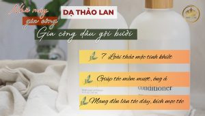 Gia công dầu gội đầu bưởi chất lượng cao tại Dạ Thảo Lan – Dầu gội tinh chất bưởi thiên nhiên