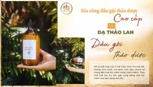 Gia công dầu gội thảo dược cao cấp – Dịch vụ gia công mỹ phẩm uy tín | Dầu Gội Thảo Mộc