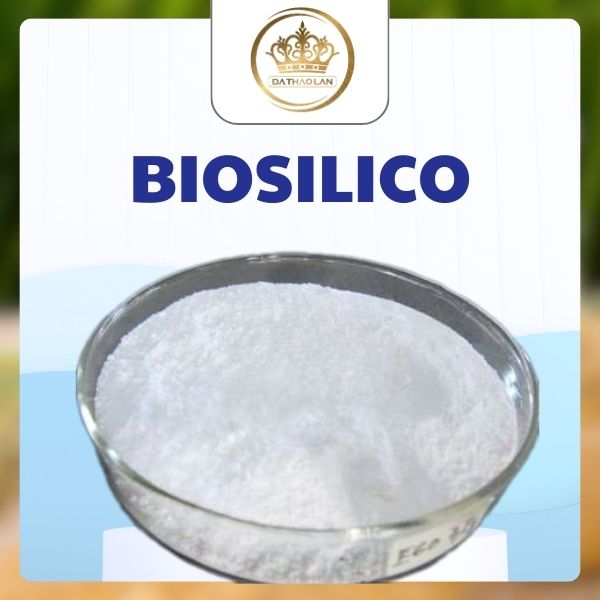 Biosilico là gì? Khám phá thông tin về Nano Silica sinh học
