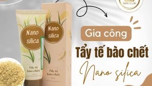 Gia công tẩy tế bào chết nano silica chiết xuất từ vỏ trấu