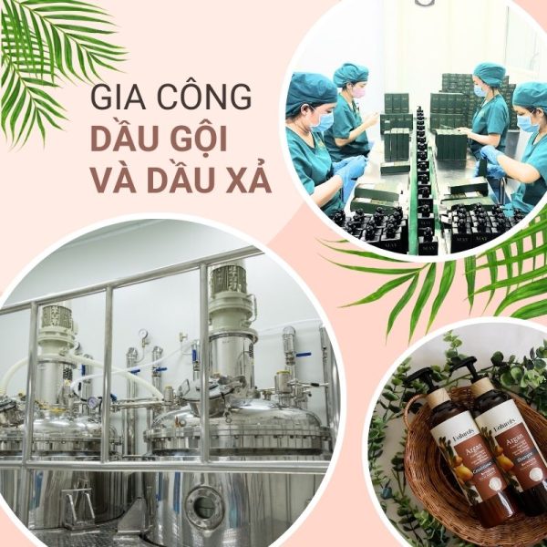 Gia công mỹ phẩm chăm sóc tóc